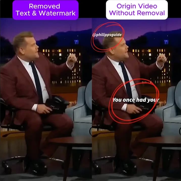 Video watermark removal demo